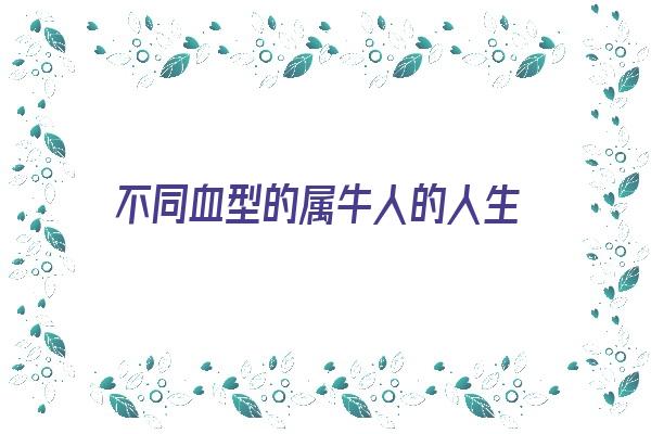 不同血型的属牛人的人生《不同血型的属牛人的人生命运如何》