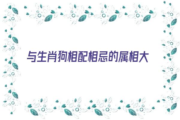 与生肖狗相配相忌的属相大揭秘《与生肖狗相冲的属相》