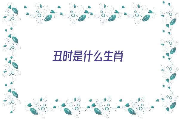 丑时是什么生肖《丑时是什么生肖动物》