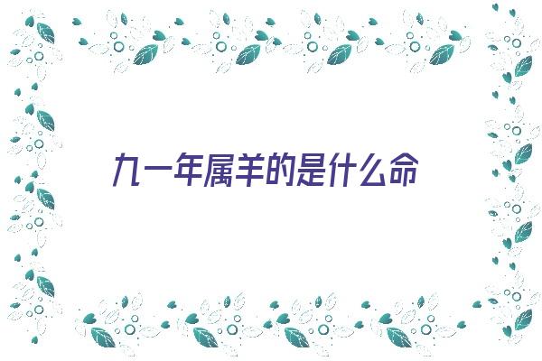 九一年属羊的是什么命《九一年属羊的是什么命五行属什么》