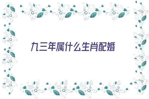 九三年属什么生肖配婚《九三年属啥的》