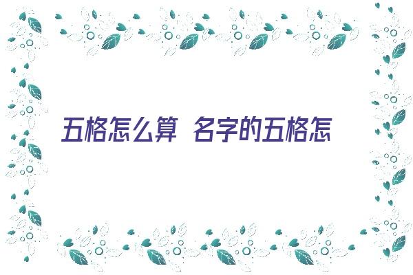 五格怎么算 名字的五格怎么算《名字五格算法》