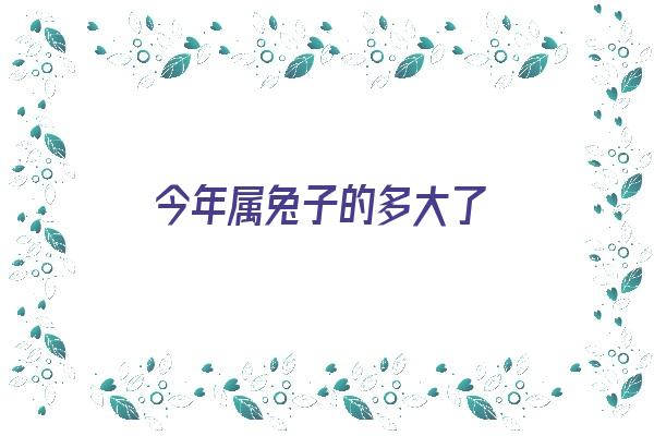 今年属兔子的多大了《今年属兔子的几岁了》