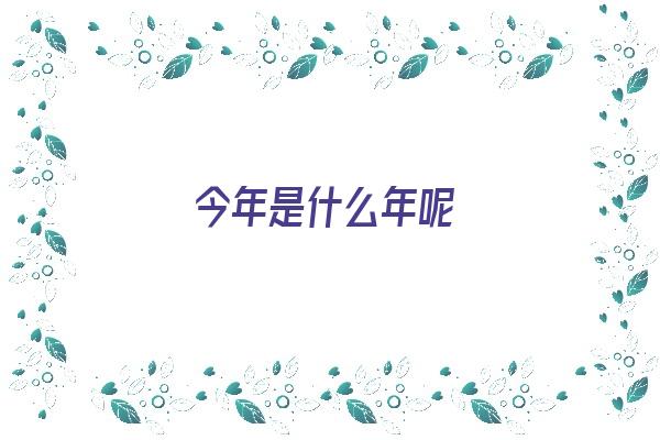 今年是什么年呢《今年是什么年呢属什么的》