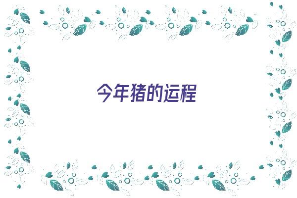 今年猪的运程《今年猪的运程及财运如何2023》