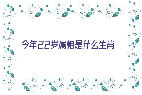 今年22岁属相是什么生肖《今年22岁属相是什么生肖呢》