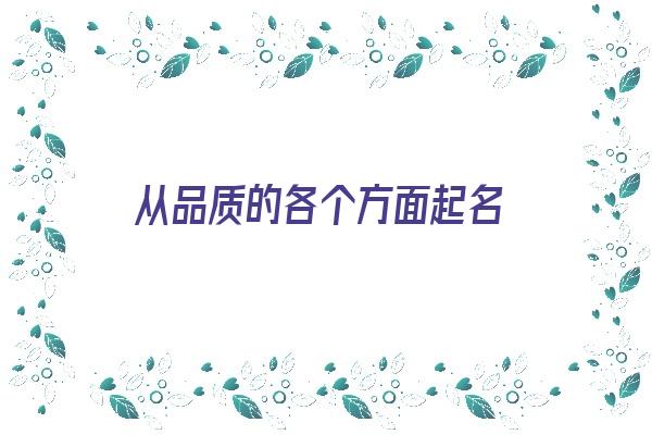 从品质的各个方面起名《从品质的各个方面起名字》