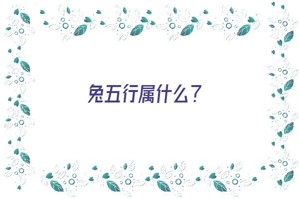 兔五行属什么？《生肖兔五行属什么》