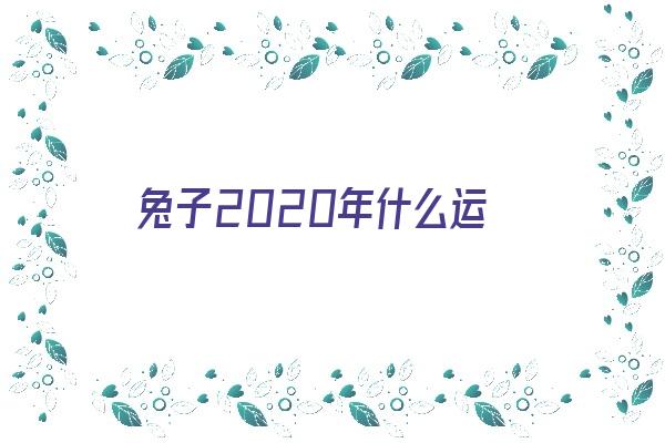  兔子2020年什么运《2020年兔子的运气》 生肖运势