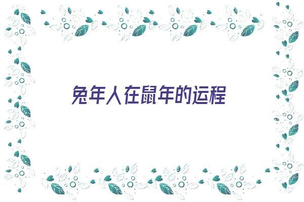 兔年人在鼠年的运程《兔年人在鼠年的运程怎么样》