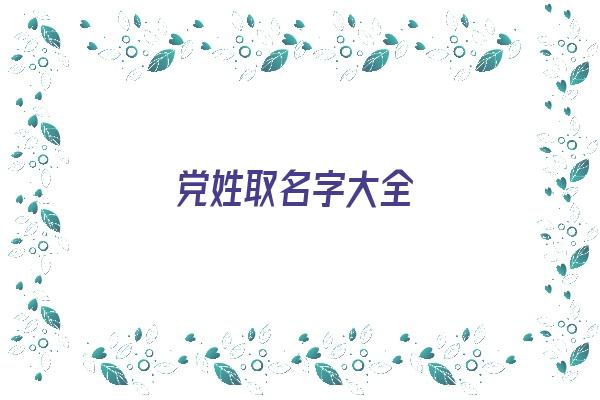 党姓取名字大全《党姓取名字大全男孩》