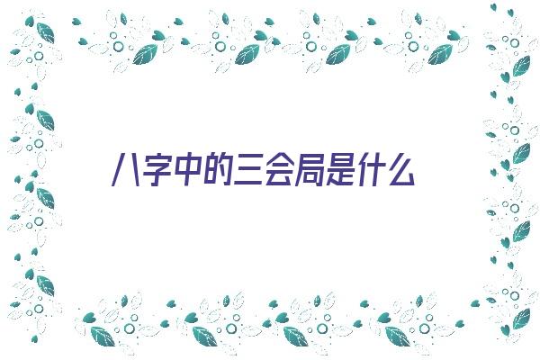 八字中的三会局是什么《八字中的三会局是什么意思》