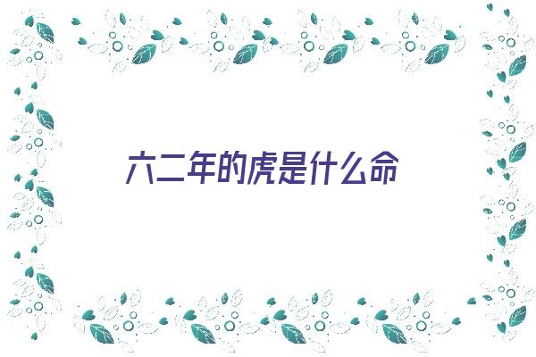 六二年的虎是什么命《六二年的虎是什么命、今年几月顺利》