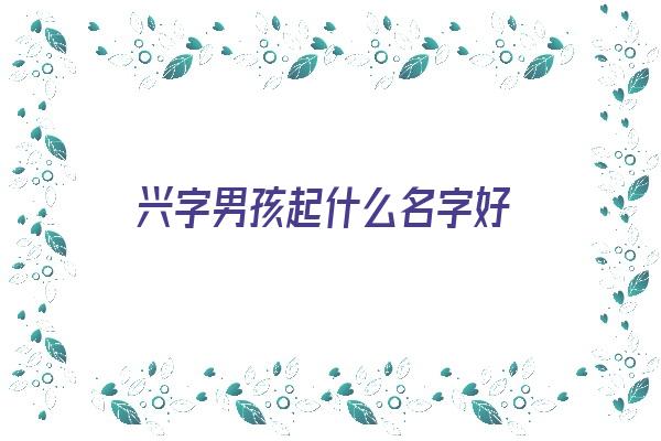 兴字男孩起什么名字好《兴字男孩儿名字大全》