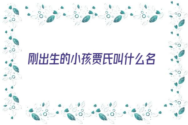 刚出生的小孩贾氏叫什么名字好《姓贾的小孩》