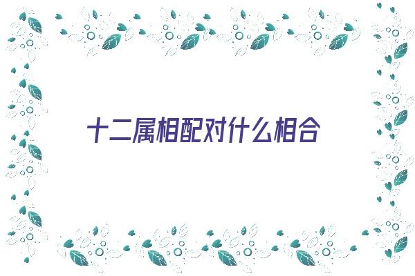 十二属相配对什么相合《十二属相配对什么相合最好》