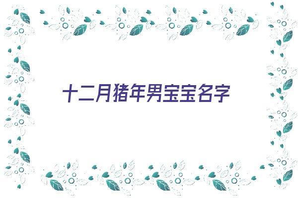  十二月猪年男宝宝名字《十二月猪年男宝宝名字怎么取》 姓名配对