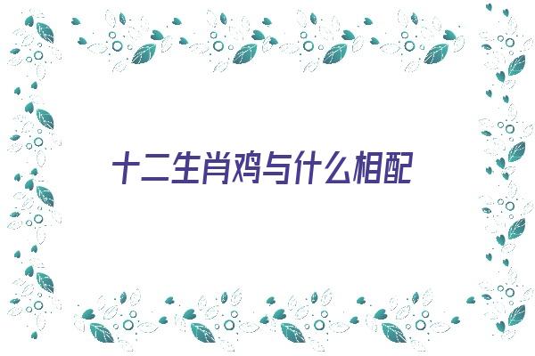 十二生肖鸡与什么相配《十二生肖鸡与什么相配最好》