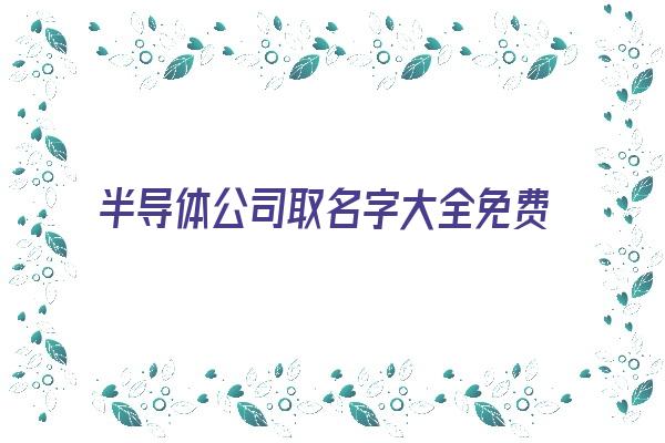 半导体公司取名字大全免费查询《半导体公司起名大全》