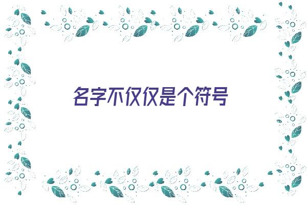 名字不仅仅是个符号《名字不仅仅是个符号还有什么》