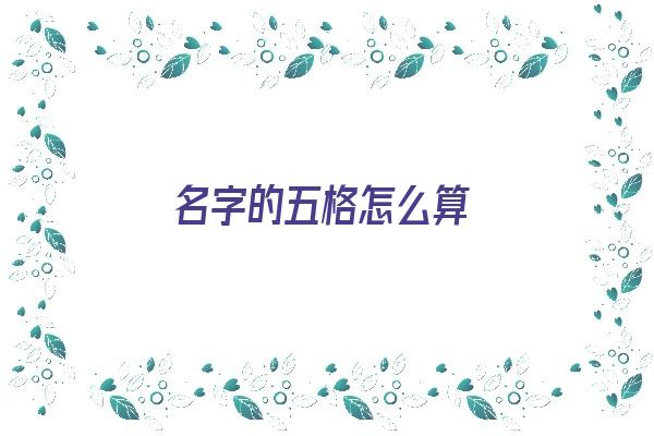 名字的五格怎么算《名字的五格怎么算的》