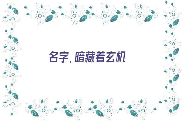 名字，暗藏着玄机《名字,暗藏着玄机什么意思》