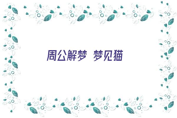 周公解梦 梦见猫《周公解梦梦见猫是什么预兆 女性》