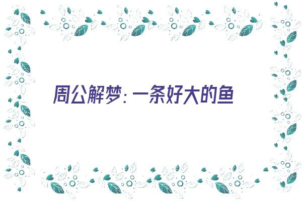 周公解梦：一条好大的鱼《周公解梦:一条好大的鱼在水里游》