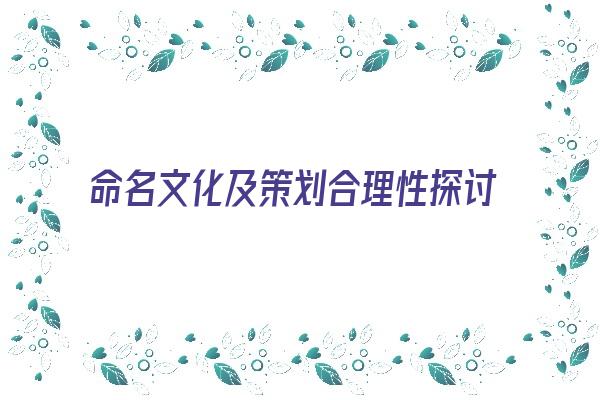 命名文化及策划合理性探讨《命名文化及策划合理性探讨怎么写》