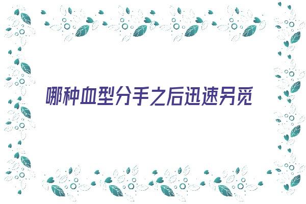 哪种血型分手之后迅速另觅新欢《哪个血型分手最彻底》