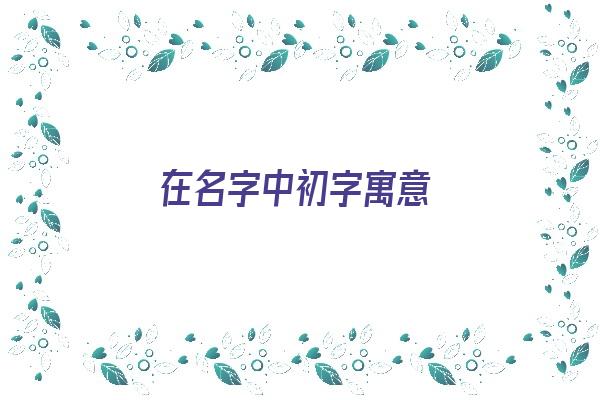 在名字中初字寓意《在名字中初字寓意是什么》