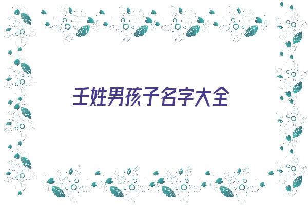 壬姓男孩子名字大全《壬姓男孩子名字大全四个字》