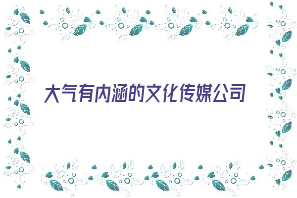 大气有内涵的文化传媒公司名字《大气有内涵的文化传媒公司名字有哪些》