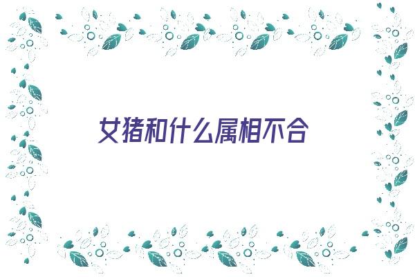 女猪和什么属相不合《女猪和什么属相不合财》