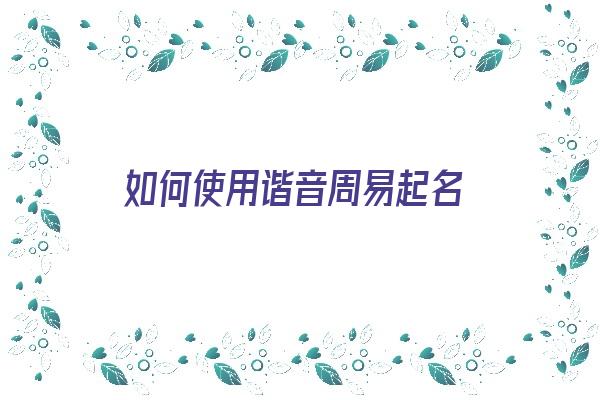 如何使用谐音周易起名《如何使用谐音周易起名的方法》