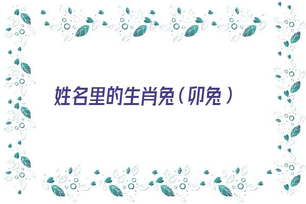 姓名里的生肖兔（卯兔）《卯兔名字》