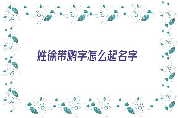 姓徐带鹏字怎么起名字《姓徐带鹏字怎么起名字好听》