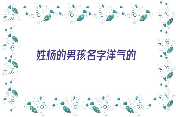 姓杨的男孩名字洋气的《姓杨的男孩名字洋气的两个字》