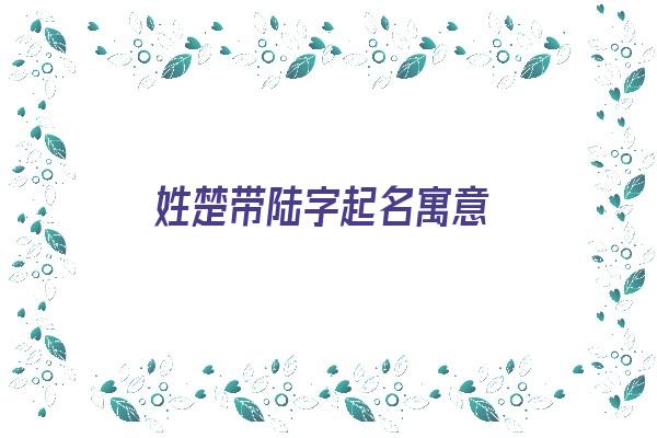 姓楚带陆字起名寓意《姓楚带陆字起名寓意好吗》