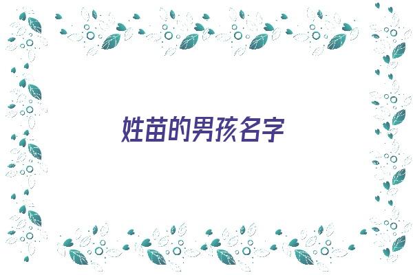 姓苗的男孩名字《姓苗的男孩名字有寓意》