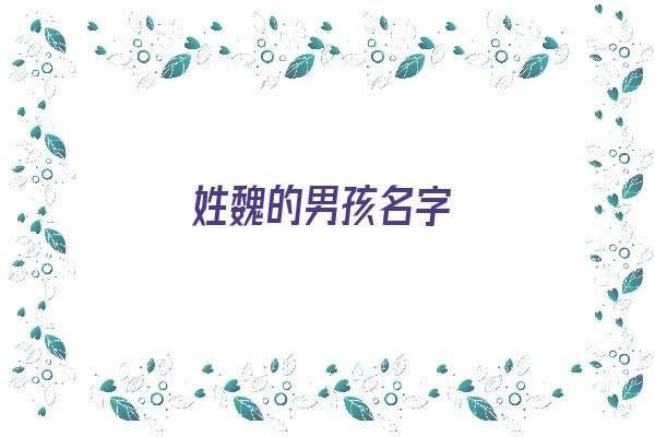 姓魏的男孩名字《姓魏的男孩名字大全》