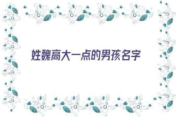 姓魏高大一点的男孩名字《姓魏高大一点的男孩名字大全》