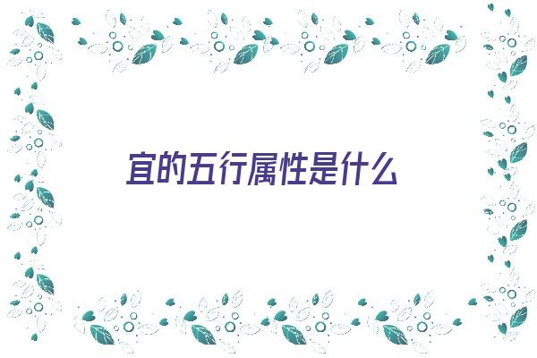 宜的五行属性是什么《宜的五行属性是什么字》