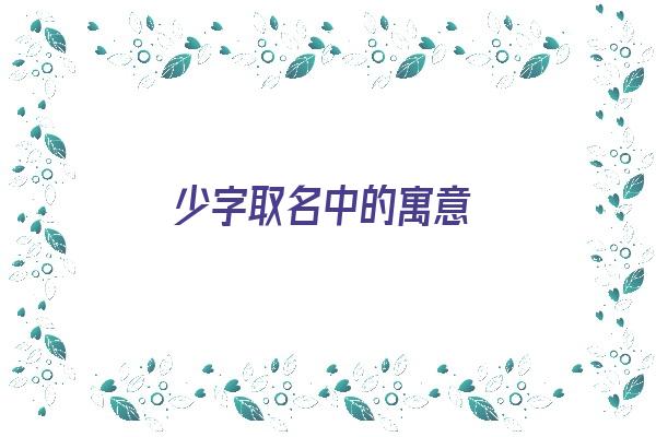 少字取名中的寓意《少字取名中的寓意是什么》