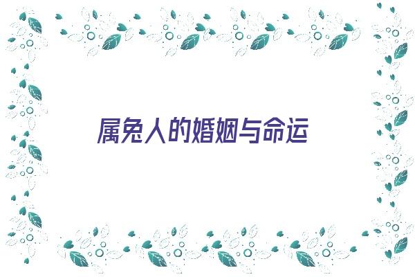 属兔人的婚姻与命运《属兔人的婚姻与命运十二生肖》