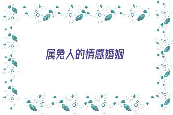 属兔人的情感婚姻《属兔人的情感婚姻怎么样》