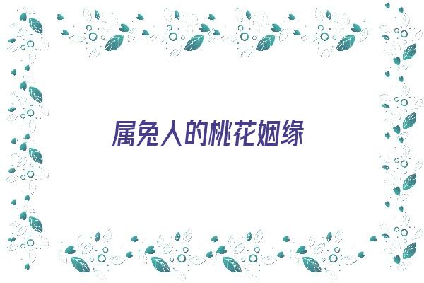 属兔人的桃花姻缘《属兔人的桃花姻缘是什么》