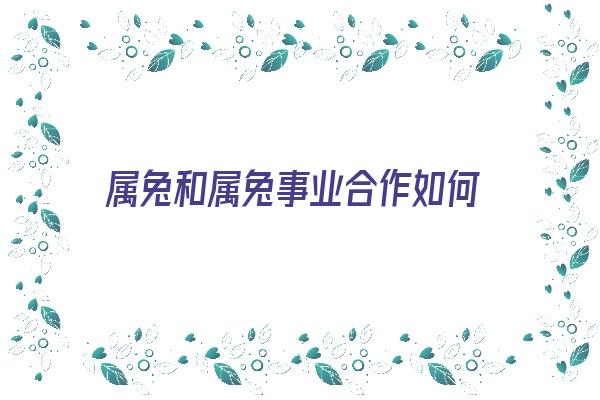 属兔和属兔事业合作如何《属兔和属兔事业合作如何相处》