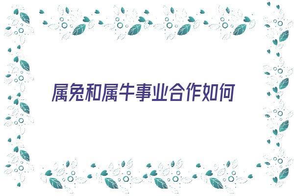  属兔和属牛事业合作如何《属兔和属牛事业合作如何相处》 生肖运势