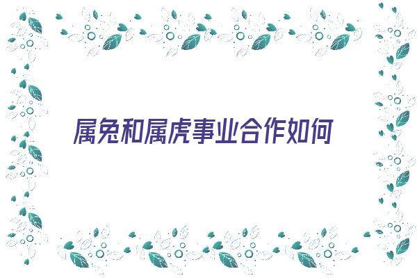 属兔和属虎事业合作如何《属兔和属虎事业合作如何相处》